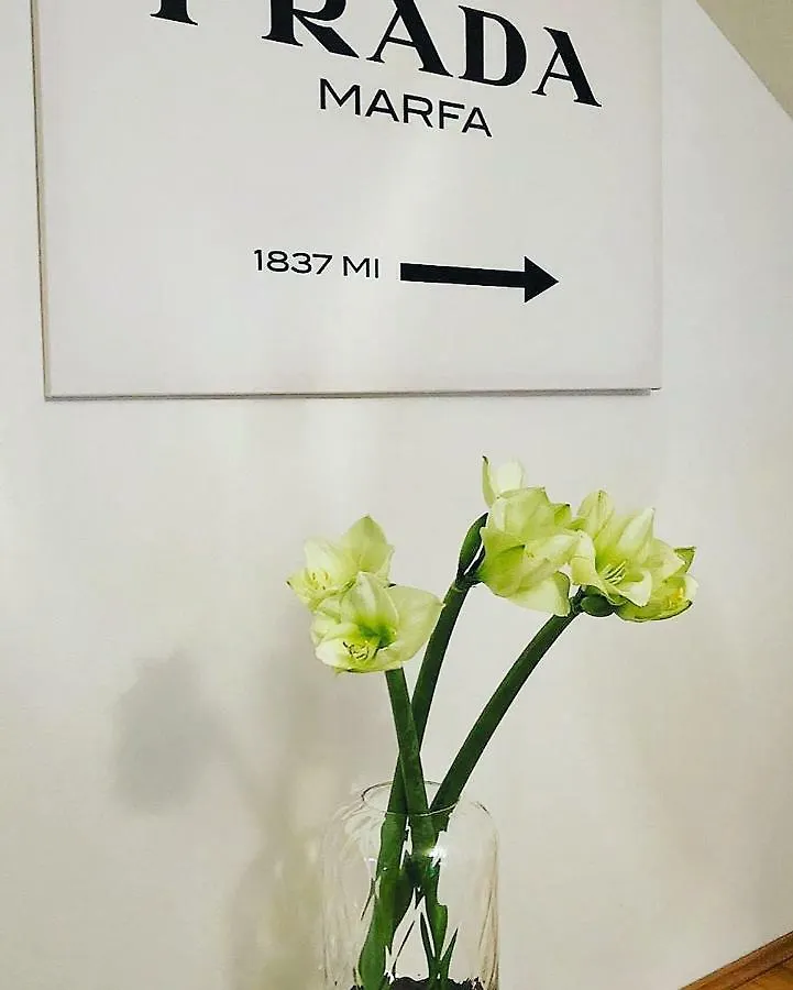 Rs Apartment بادن بادن
